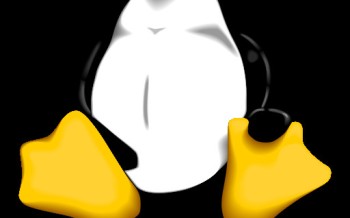 Pourquoi et comment j'en suis venu à Linux : le témoignage de nazonfly