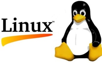 Pourquoi et comment j'en suis venu à Linux : le témoignage de cubik
