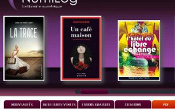 Une bibliothèque dans une tablette - Interview de Denis Zwirn