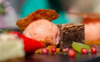 Machine à glace : comment ça marche ?