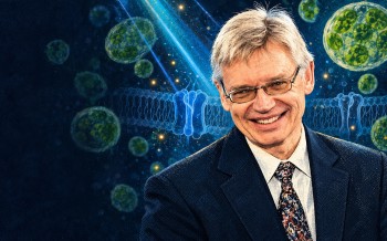 Biographie de Peter Hegemann