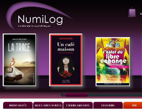 Une bibliothèque dans une tablette - Interview de Denis Zwirn
